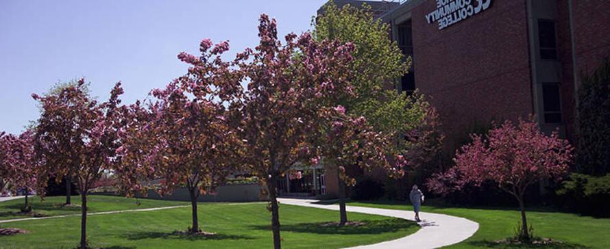 Photo of the Brighton Campus buildings in the spring.